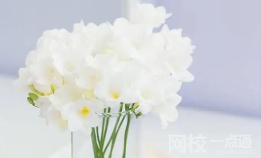 北京語言大學(xué)2024錄取分?jǐn)?shù)線(2024學(xué)年各專業(yè)錄取最低分?jǐn)?shù)線)