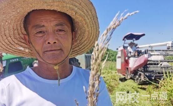 罕見旱災(zāi)下的鄱陽湖 究竟是什么造成的