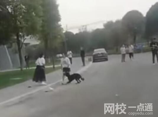 3歲男童路遇烈犬掙脫狗繩撕咬 究竟是怎么回事？