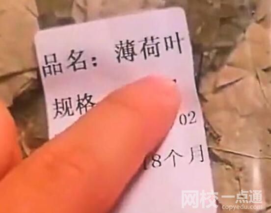男子網(wǎng)購薄荷葉收到“薄”荷葉 究竟是怎么回事？