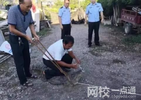 女孩網(wǎng)購毒蛇當寵物 一個月后身亡 詳細事件是怎么一回事？