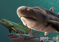 “從魚到人”有了關鍵證據 細節(jié)展示實在太壯觀