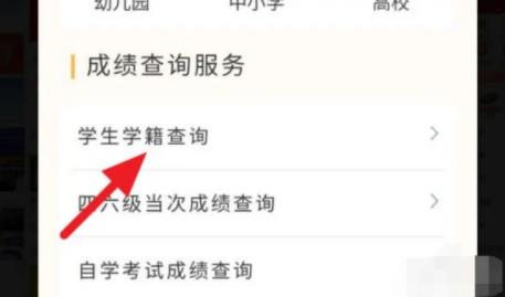 高中學(xué)籍號(hào)怎么查 學(xué)籍號(hào)有什么用?