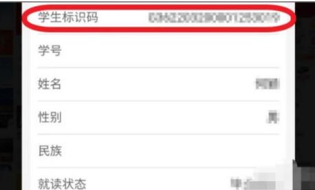 高中學(xué)籍號(hào)怎么查 學(xué)籍號(hào)有什么用?