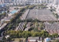 官方回應(yīng)鄭州二砂建方艙:不損壞文物 始料未及真相簡直太意外了