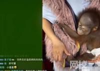 南京一動物園直播籌款:揭不開鍋了 每天都是0收入