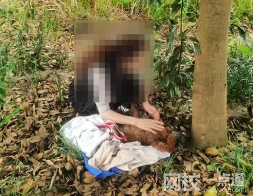 網(wǎng)曝成都多地出現(xiàn)“毒狗”事件 為什么引熱議？