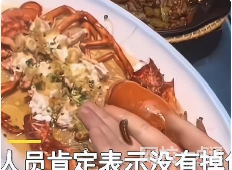 食客點龍蝦做記號上菜后發(fā)現(xiàn)被換 事情真相究竟是什么