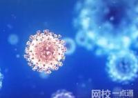 XBB.1.5到底有多厲害?專家解讀 究竟是怎么回事？