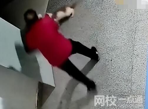 殘疾流浪貓?jiān)饫先藧阂馓叽蝌?qū)趕 為什么引爭議？