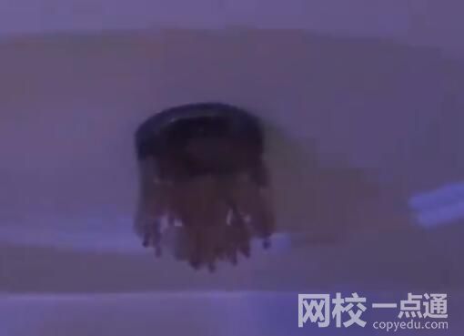 新疆震感現(xiàn)場:居民家植物衣架搖晃 始料未及真相簡直太驚人