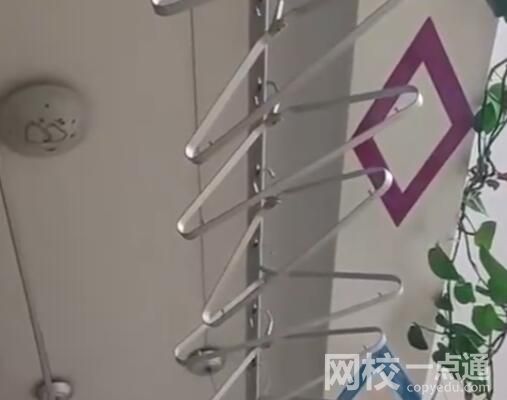 新疆震感現(xiàn)場:居民家植物衣架搖晃 究竟是怎么回事？