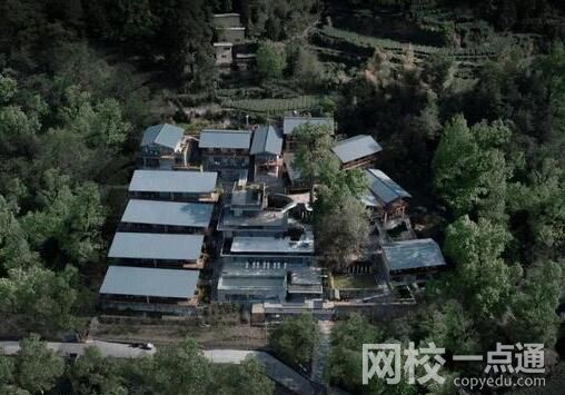 養(yǎng)豬不如養(yǎng)上海人!這話傳遍旅游圈 背后真相實(shí)在讓人驚愕
