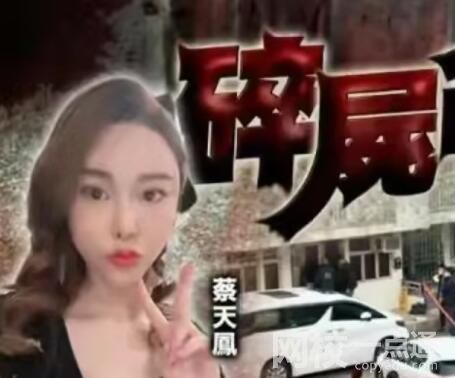 香港名媛碎尸案進展:前夫潛逃時被抓 意外至極真相令人震驚