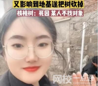 女子算命核桃樹(shù)擋姻緣家人將樹(shù)砍掉 究竟是怎么回事？