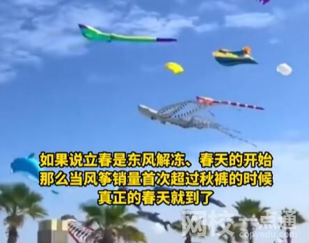 海洋風(fēng)箏爆火 網(wǎng)友:春天的信號(hào) 始料未及真相簡(jiǎn)直太意外了