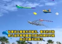 海洋風箏爆火 網友:春天的信號 究竟是怎么回事？
