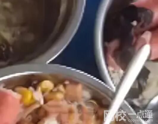 按倒點(diǎn)外賣學(xué)生校方食堂被曝菜餿 始料未及真相簡直太驚人