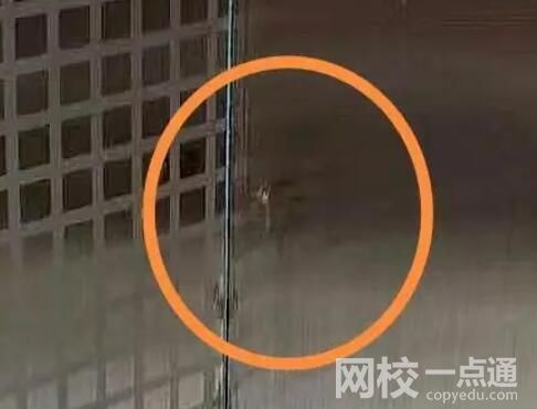 剛?cè)戮陀形米?專家解釋 究竟是怎么回事？