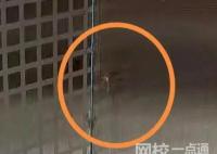 剛?cè)戮陀形米?專家解釋 始料未及真相簡直令人震驚