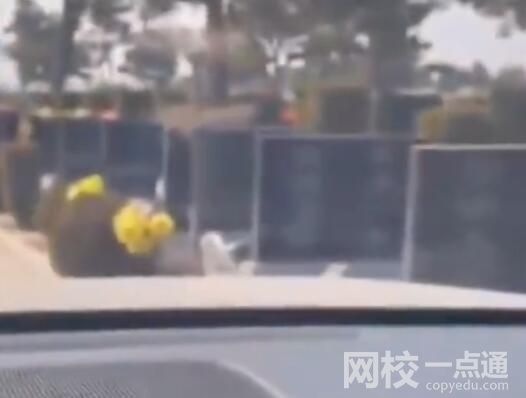 汽車(chē)?yán)走_(dá)在無(wú)人陵園內(nèi)顯示全是人影 內(nèi)幕實(shí)在太可怕了