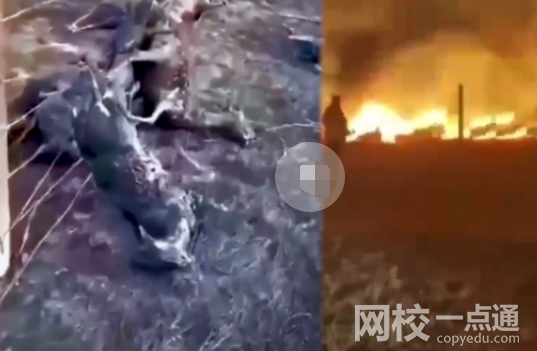 中蒙邊境草原起火 圍欄掛滿羊焦尸 背后真相實(shí)在讓人驚愕