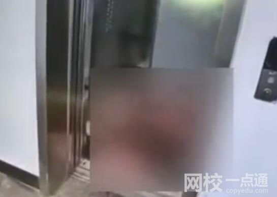 社區(qū)辟謠公寓樓電梯內(nèi)發(fā)生命案 真相簡(jiǎn)直太恐怖了