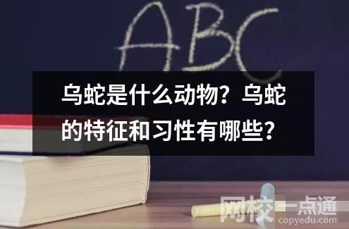 烏蛇是什么動物？烏蛇的特征和習性有哪些？