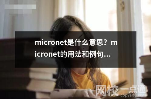micronet是什么意思？micronet的用法和例句。