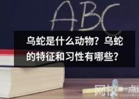 烏蛇是什么動(dòng)物？烏蛇的特征和習(xí)性有哪些？