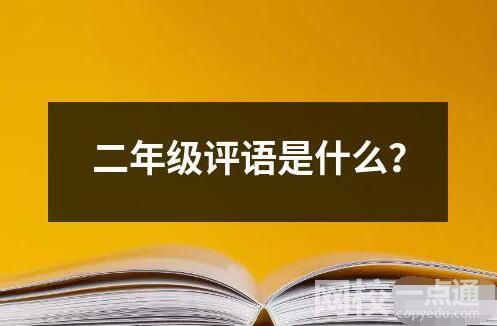 二年級評語是什么？