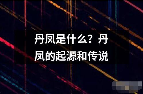 丹鳳是什么？丹鳳的起源和傳說(shuō)