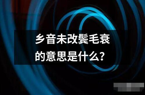 鄉(xiāng)音未改鬢毛衰的意思是什么？