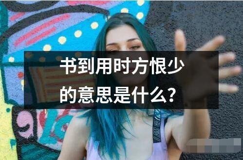 書到用時方恨少的意思是什么？