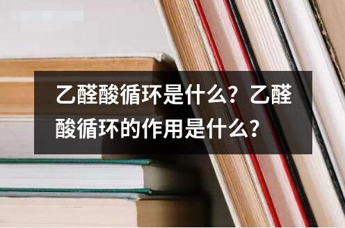 乙醛酸循環(huán)是什么？乙醛酸循環(huán)的作用是什么？