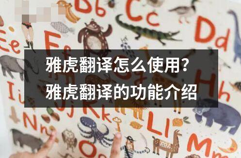 雅虎翻譯怎么使用？雅虎翻譯的功能介紹