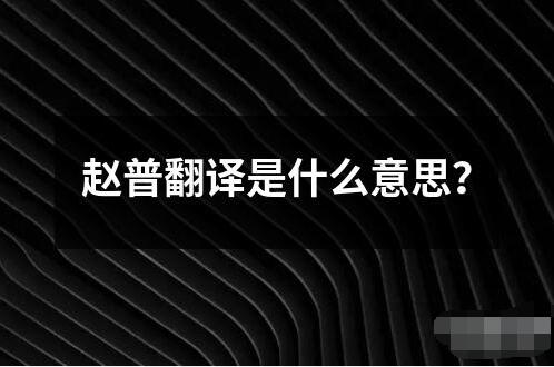 趙普翻譯是什么意思？