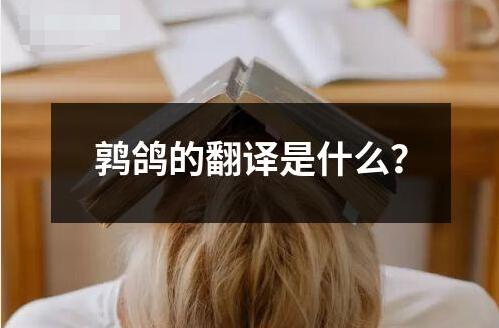 鶉?guó)澋姆g是什么？