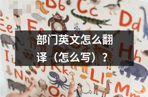 部門英文怎么翻譯（怎么寫）？