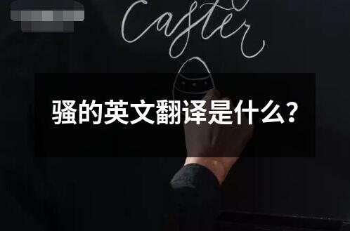 騷的英文翻譯是什么？