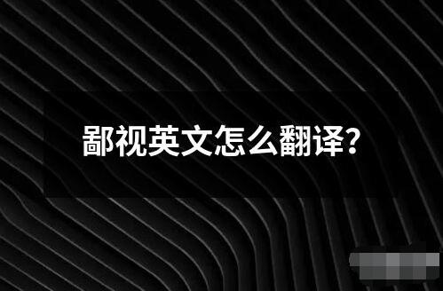 鄙視英文怎么翻譯？