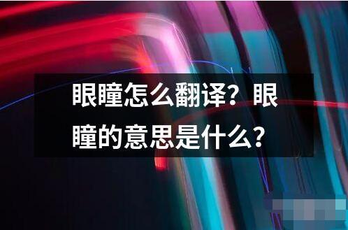 眼瞳怎么翻譯？眼瞳的意思是什么？
