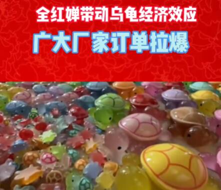 全紅嬋玩的烏龜爆單了 為什么這么火？