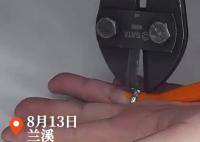 男子結(jié)婚22年胖30斤無奈夾斷婚戒 為什么胖這么多？