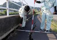 日本南海海槽附近曾數(shù)次發(fā)生大地震 為什么這么嚴(yán)重？