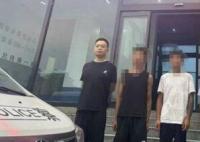 河南2男子捉44只壁虎被刑拘 為什么被抓？