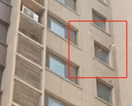 女子高樓撒10萬現(xiàn)金后跳樓?警方回應(yīng) 為什么撒錢跳樓？