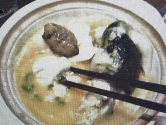 “職業(yè)打假人”3天在5家店吃5頓河豚 為什么引爭(zhēng)議？