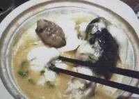 “職業(yè)打假人”3天在5家店吃5頓河豚 為什么引爭(zhēng)議？