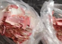 老人將積蓄藏土里 不料被蟲(chóng)吃了 實(shí)在太可惜了